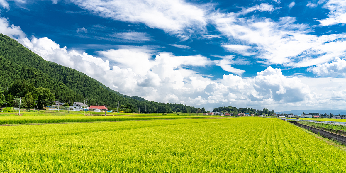 自慢の川内村